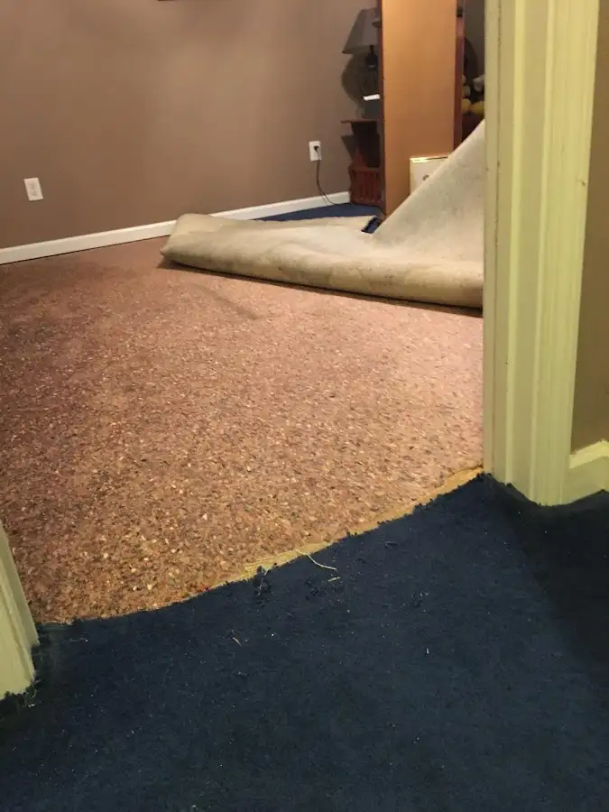 Carpet pad removal revealing water damage during Water Mitigation Services in Manchester